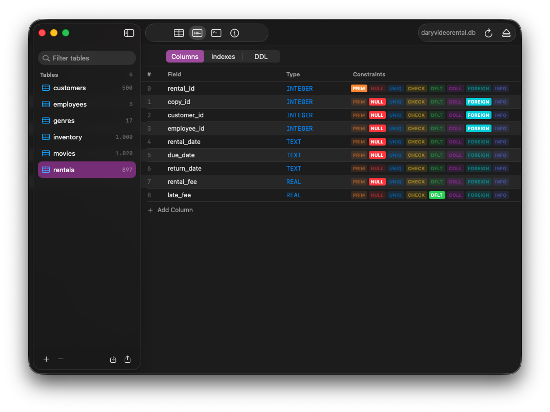 Feather — schema inspector showing columns and constraints